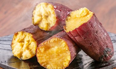 शकरकंद: स्वाद ही नहीं सेहत के लिए भी है 'सुपरफूड', जानें इसके चमत्कारी फायदे