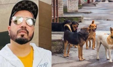 बेजुबानों के मसीहा बने मीका सिंह: कुत्तों के लिए दान करेंगे 10 एकड़ जमीन; सुप्रीम कोर्ट से कहा - 'मुझे बस आपका साथ चाहिए'