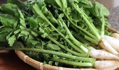 मूली के पत्ते: जिन्हें आप बेकार समझकर फेंक देते हैं, वे औषधीय गुणों का खजाना हैं; जानें इनके बेमिसाल फायदे