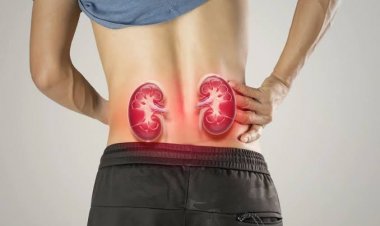सावधान: 40 से पहले ही फेल हो रही हैं किडनियां, फिट दिखने की होड़ में कहीं आप भी तो नहीं कर रहे ये जानलेवा गलतियां?