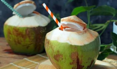 सर्दियों में नारियल पानी: सेहत के लिए वरदान या नुकसान? जानें क्या कहता है विज्ञान और आयुर्वेद