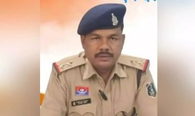 आवारा कुत्तों से बचने छत्तीसगढ़  के इंस्पेक्टर की राजस्थान में मौत