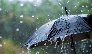 रायपुर, नांदगांव, समेत 14 जिलों में बारिश की चेतावनी