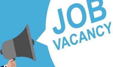 CG Job Alert: युवाओं के लिए सुनहरा मौका! राज्य स्तरीय 'रोजगार मेला' शुरू, 15,000 पदों पर होगी भर्ती