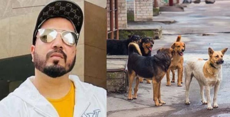 बेजुबानों के मसीहा बने मीका सिंह: कुत्तों के लिए दान करेंगे 10 एकड़ जमीन; सुप्रीम कोर्ट से कहा - 'मुझे बस आपका साथ चाहिए'