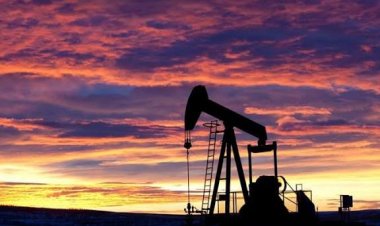 अमेरिकी दावे पर रूस का खंडन, कहा- भारत ने रूसी तेल पर रुख नहीं बदला