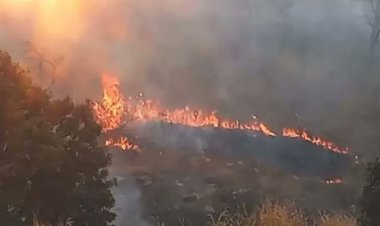 धमतरी में पहाड़ी इलाके में आग