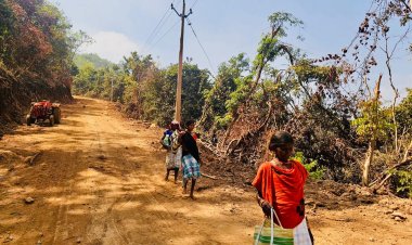 आजादी के बाद पहली बार जगमगाया गांव : लाल आतंक का अंत,गोगुंडा में पहली बार पहुचीं बिजली