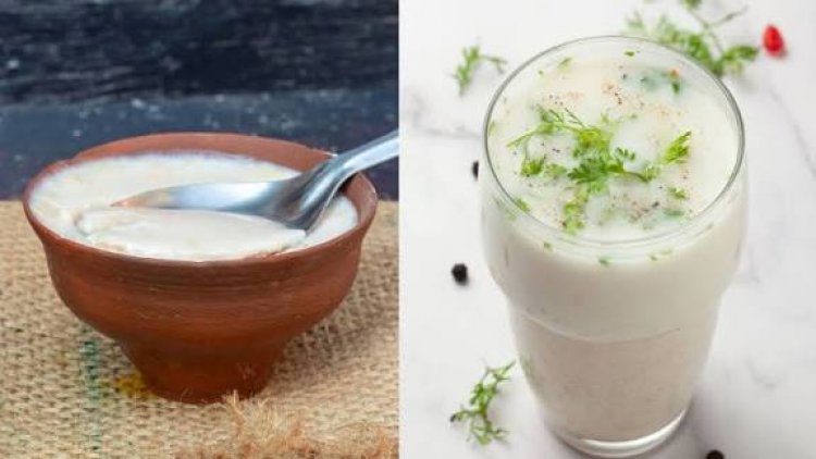 दही या छाछ: सेहत के लिए क्या है ज्यादा बेहतर? जानें आयुर्वेद और विज्ञान की राय