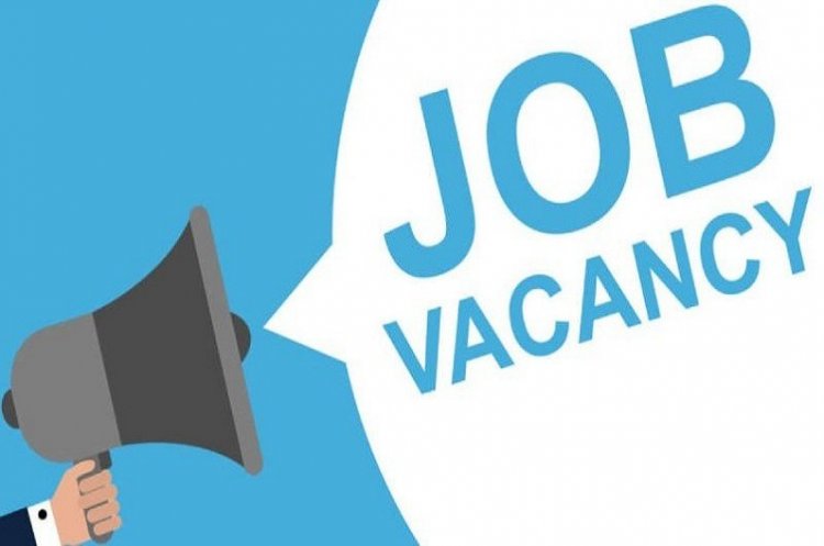 भिलाई में रोजगार का बड़ा अवसर: 3,000 से अधिक पदों पर होगी सीधी भर्ती, जानें कब और कहाँ लगेगा मेला