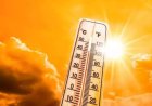 छत्तीसगढ़ में गर्मी और बारिश का 'डबल अटैक' : रायपुर में पारा 39°C के पार, इन जिलों में अंधड़ और बिजली गिरने का अलर्ट