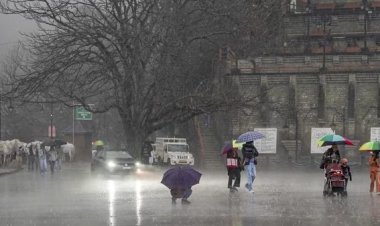 CG Weather : छत्तीसगढ़ में मौसम का तांडव; बारिश और ओलावृष्टि के बीच कई जिलों के लिए ऑरेंज और येलो अलर्ट जारी
