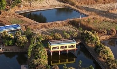 तालाब के ऊपर मुर्गी पालन कर खेती को और अधिक लाभकारी बनाया