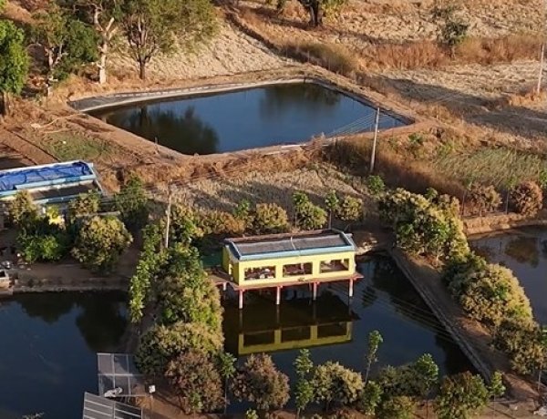 तालाब के ऊपर मुर्गी पालन कर खेती को और अधिक लाभकारी बनाया