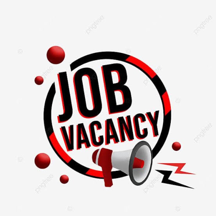 CG Job Alert : बेरोजगारों के लिए सुनहरा मौका! इन जिलों में 'बंपर भर्ती', 650 से ज्यादा पदों के लिए लगेगा प्लेसमेंट कैंप