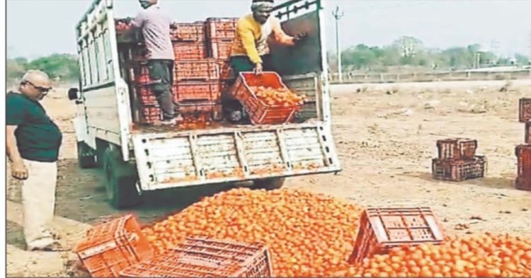 नहीं मिल रहे टमाटर के लेवाल किसानों ने मंडी के बाहर फेंके