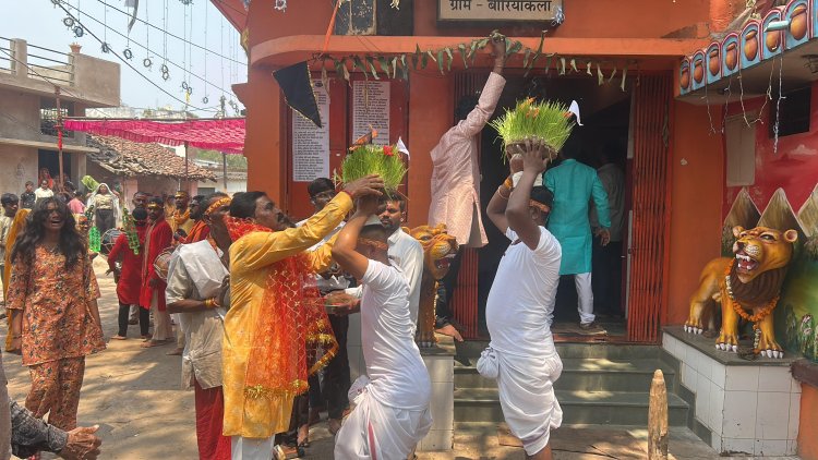 सरपंच हिमांचल साहू की अगुवाई में बोरियाकला में धूमधाम से हुआ जवारा विसर्जन