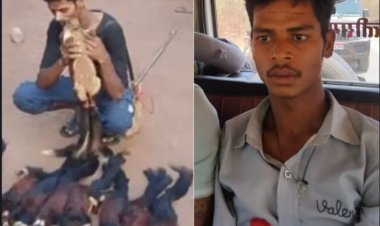 बस्तर में शिकारियों ने बनाया रील, तब हुआ 9 दुर्लभ गिलहरियों के शिकार का खुलासा