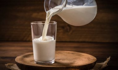 क्या आप भी पीते हैं सादा दूध? गर्मी में इस तरह बढ़ाएं दूध की शक्ति; शरीर को मिलेगी ठंडक और भरपूर पोषण