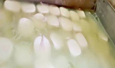 राजधानी में नकली पनीर का बड़ा खुलासा: 1200 किलो जब्त, उरला में 500 किलो नष्ट