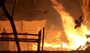 राजधानी के फाफाडीह टिंबर मार्केट में भीषण आग : 12 दमकल गाड़ियां मौके पर मौजूद