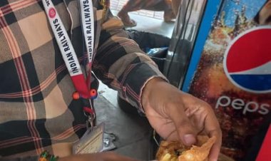 हावड़ा-मुंबई मेल में मिले कॉकरोच : 16 पर केस, 49 हजार से ज्यादा जुर्माना