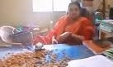 बादाम देना हुआ सार्थक, ईई- वरिष्ठ सहायक अटैच