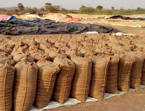 धान खरीदी में 2.54 करोड़ का घोटाला, प्रभारी पर गबन का आरोप, ऑनलाइन एंट्री और स्टॉक में बड़ा अंतर, FIR दर्ज 