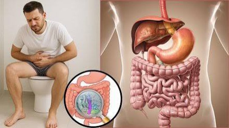 क्या आप भी पुरानी कब्ज से परेशान हैं? अपनी लाइफस्टाइल में करें ये 5 छोटे बदलाव और पाएं पेट की समस्याओं से स्थायी छुटकारा