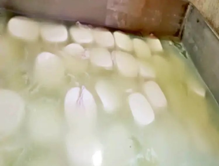 राजधानी में नकली पनीर का बड़ा खुलासा: 1200 किलो जब्त, उरला में 500 किलो नष्ट