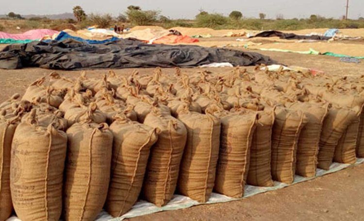 धान खरीदी में 2.54 करोड़ का घोटाला, प्रभारी पर गबन का आरोप, ऑनलाइन एंट्री और स्टॉक में बड़ा अंतर, FIR दर्ज 