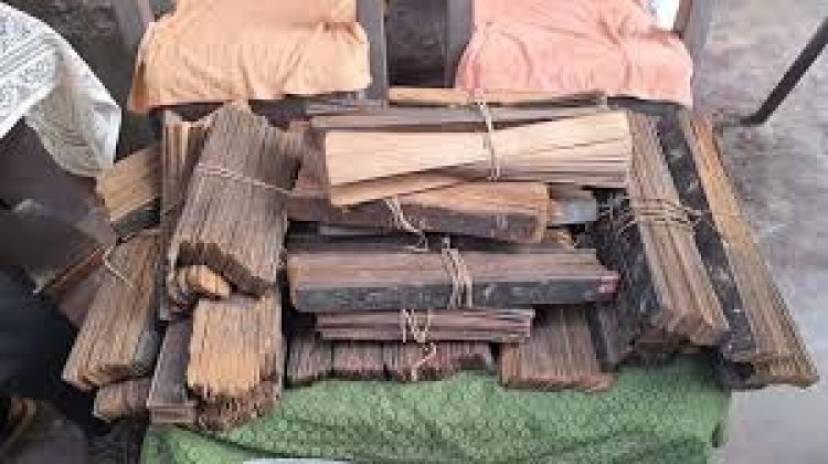 बस्तर में मिली 500 साल पुरानी पांडुलिपि, तालपत्र पर उकेरे गए आयुर्वेद के रहस्य 