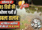 45 डिग्री में उबला तालाब, लाखों मछलियों की मौत