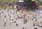 ‘बंधा मतऊर’ मेले में दिखा बस्तर का असली रंग 