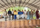 33 वर्षों की समर्पित सेवा को सलाम,भावुक माहौल में शिक्षिका ऊषा विश्वकर्मा का सम्मान
