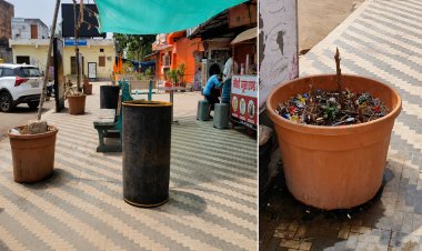 बम्बू गाड़कर छांव के लिए किया जा रहा पालिका के लगाए गमले का उपयोग