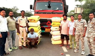 मशीनरी के डिब्बों के नीचे छिपाकर महाराष्ट्र ले जाया जा रहा था 3 करोड़ का गांजा जब्त, तस्कर गिरफ्तार 