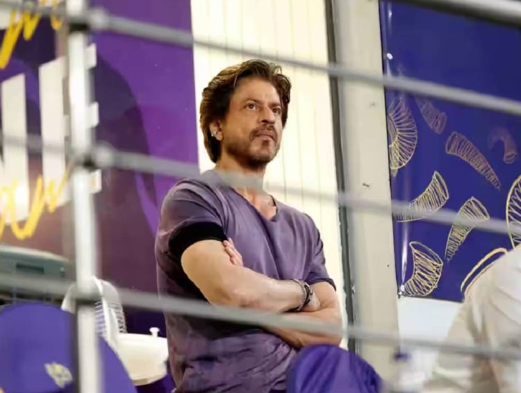 रायपुर में दिख सकता है ‘किंग खान’ का जलवा! KKR के मैच में शाहरुख खान के आने की चर्चा तेज