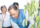 अंतरराष्ट्रीय ओलंपिक दिवस पर सीएम ने लगाया रुद्राक्ष का पौधा