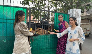 कनिष्का फाउंडेशन ने लाखे नगर में की गौसेवा 