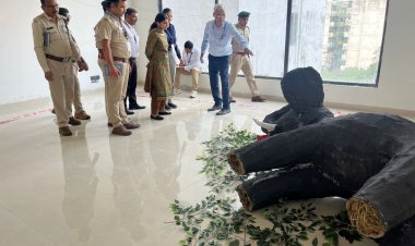 छत्तीसगढ़ में विचरण कर रहे 450  हाथियों के संरक्षण की दिशा में बड़ी पहल