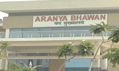 वन विभाग में बड़ा प्रशासनिक फेरबदल, 7 IFS अधिकारियों को मिली नई जिम्मेदारियां