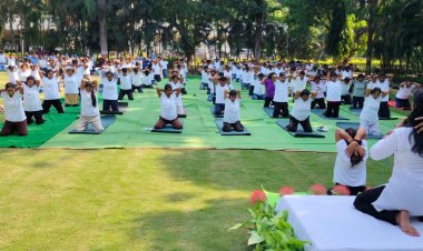 जिंदल स्टील मशीनरी डिवीजन ने मंदिर हसौद संयंत्र में किया सामूहिक योगाभ्यास