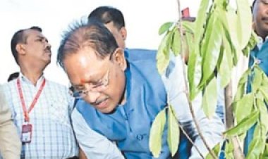 अंतरराष्ट्रीय ओलंपिक दिवस पर सीएम ने लगाया रुद्राक्ष का पौधा