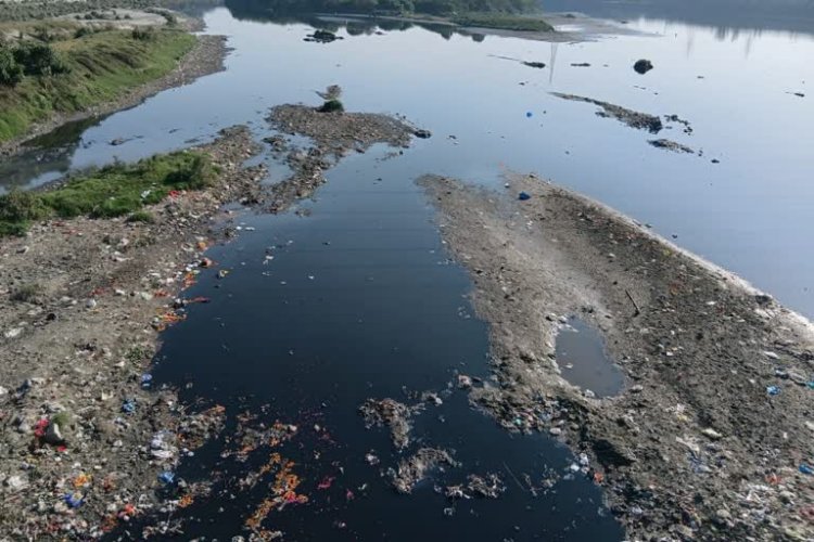 नदियों में प्रदूषण पर हाईकोर्ट सख्त : फैक्ट्रियों की कोर्ट कमिश्नर करेंगे जांच