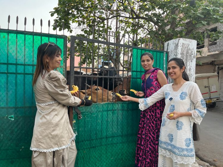 कनिष्का फाउंडेशन ने लाखे नगर में की गौसेवा 