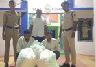 ओडिशा से महाराष्ट्र ले जाई जा रही 48 किलो गांजे की खेप पकड़ी गई, तीन तस्कर गिरफ्तार