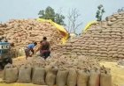 सरकारी धन की फिजूलखर्ची चोरी, गबन और धोखाधड़ी में डूबे 