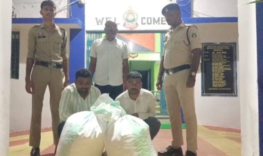 ओडिशा से महाराष्ट्र ले जाई जा रही 48 किलो गांजे की खेप पकड़ी गई, तीन तस्कर गिरफ्तार