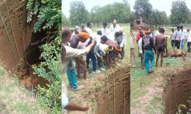 कुएं में गिरे बैल को डायल-112 और ग्रामीणों ने सुरक्षित निकाला, समय रहते बची जान